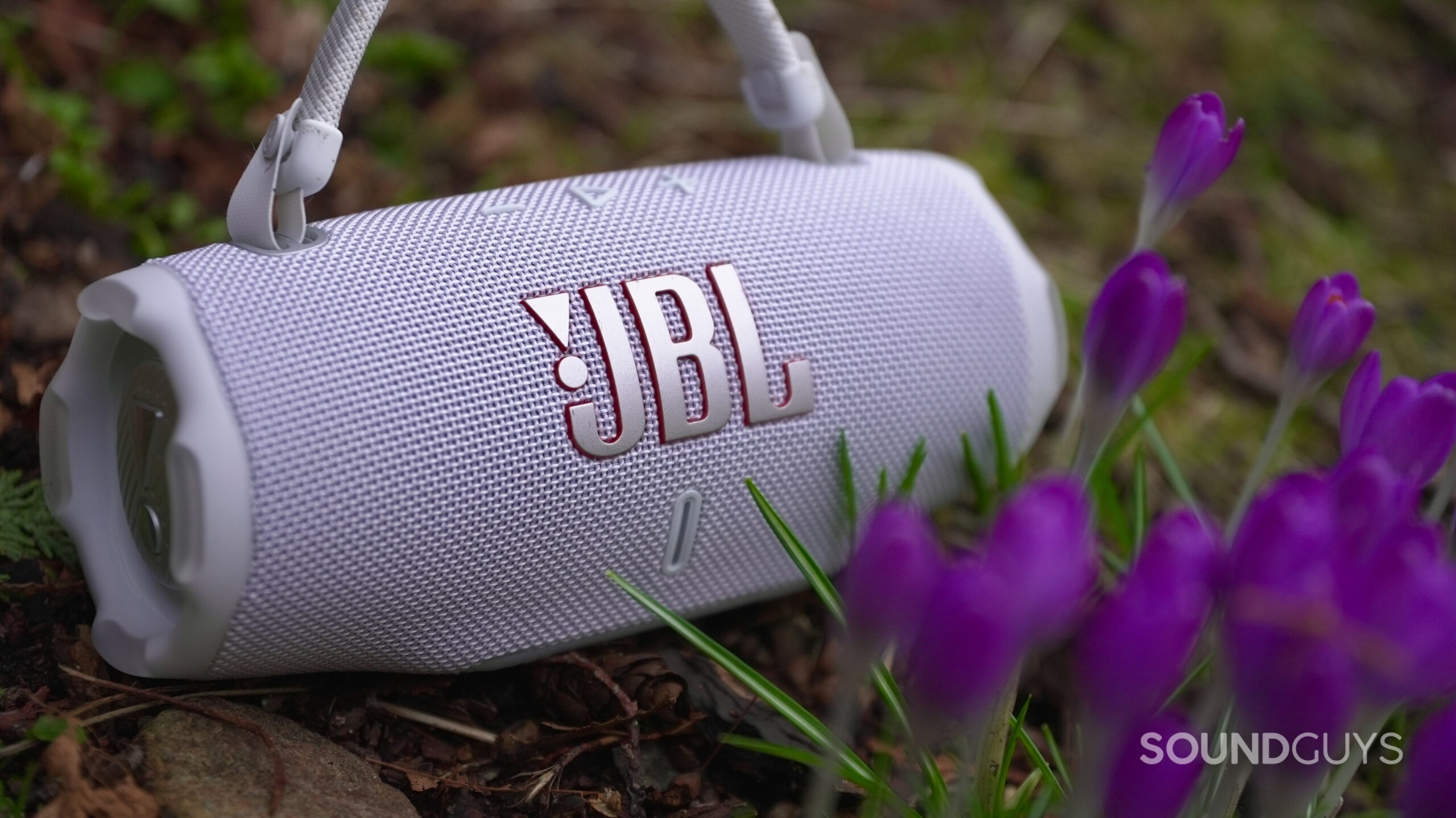Charge 6 - 20 A JBL Charge 6 resting near some crocuses.