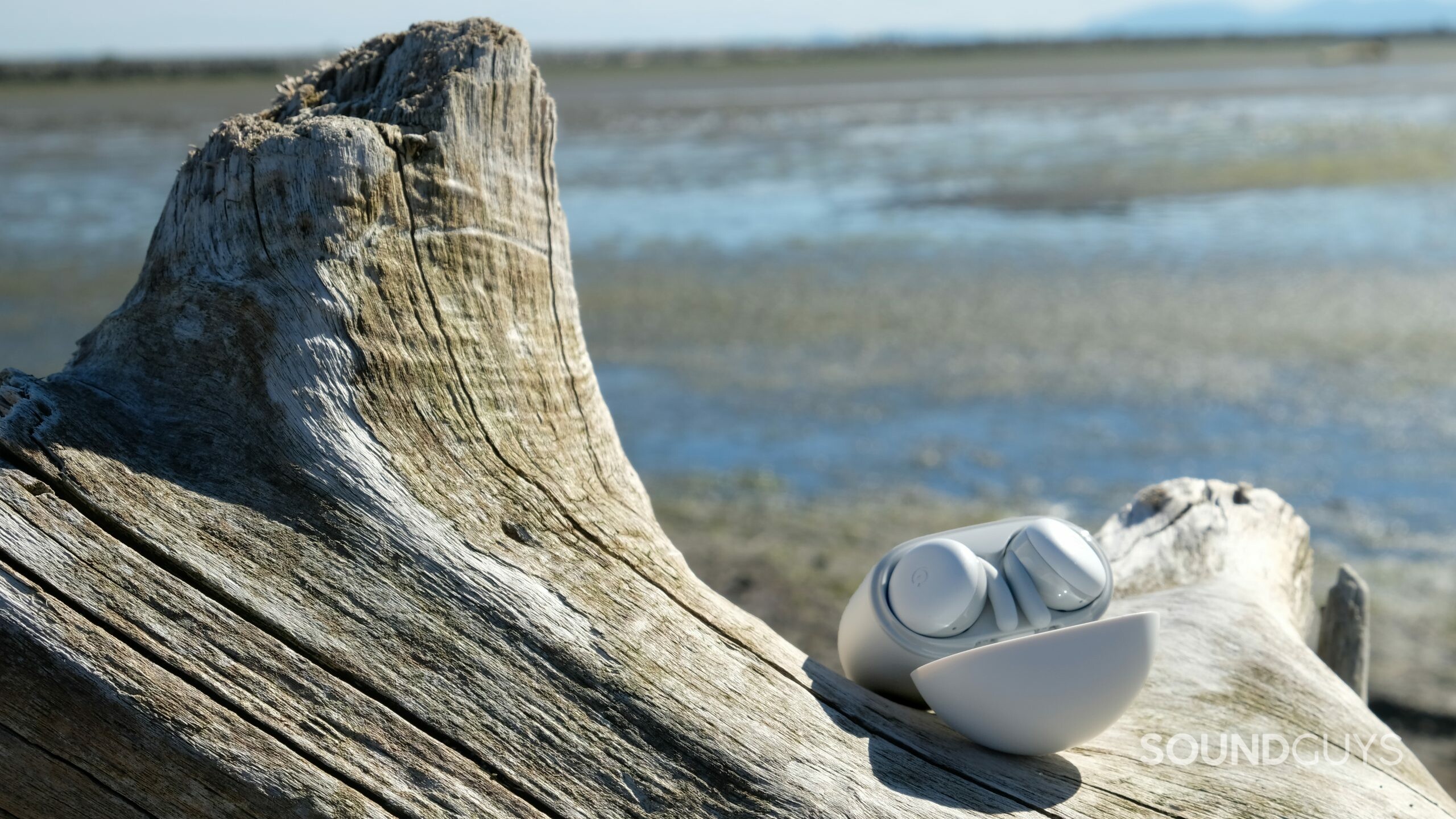 DSCF0427-crop The Google Pixel Buds A-Series are sitting on a piece of driftwood at a beach.
