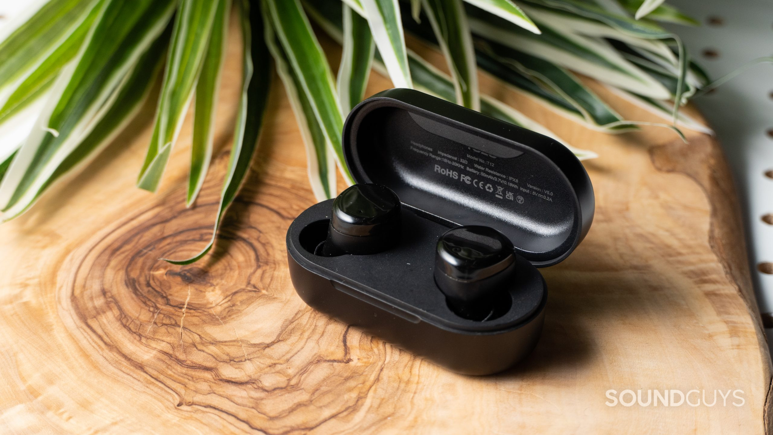 Tozo T12 plant TOZO T12 earbuds on a table with a plant in the background